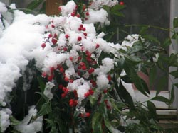 ��F��V